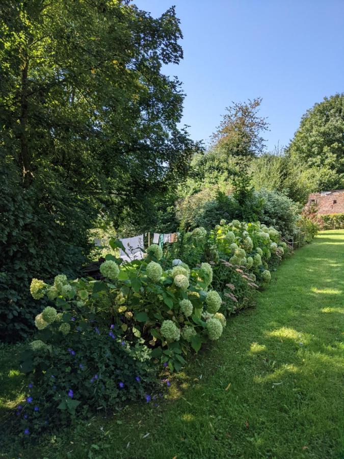 Bed and Breakfast La Grange De Dourlers Esterno foto